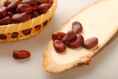 《地狱边境》首席设计师公布新作《COCOON》 2023年发售